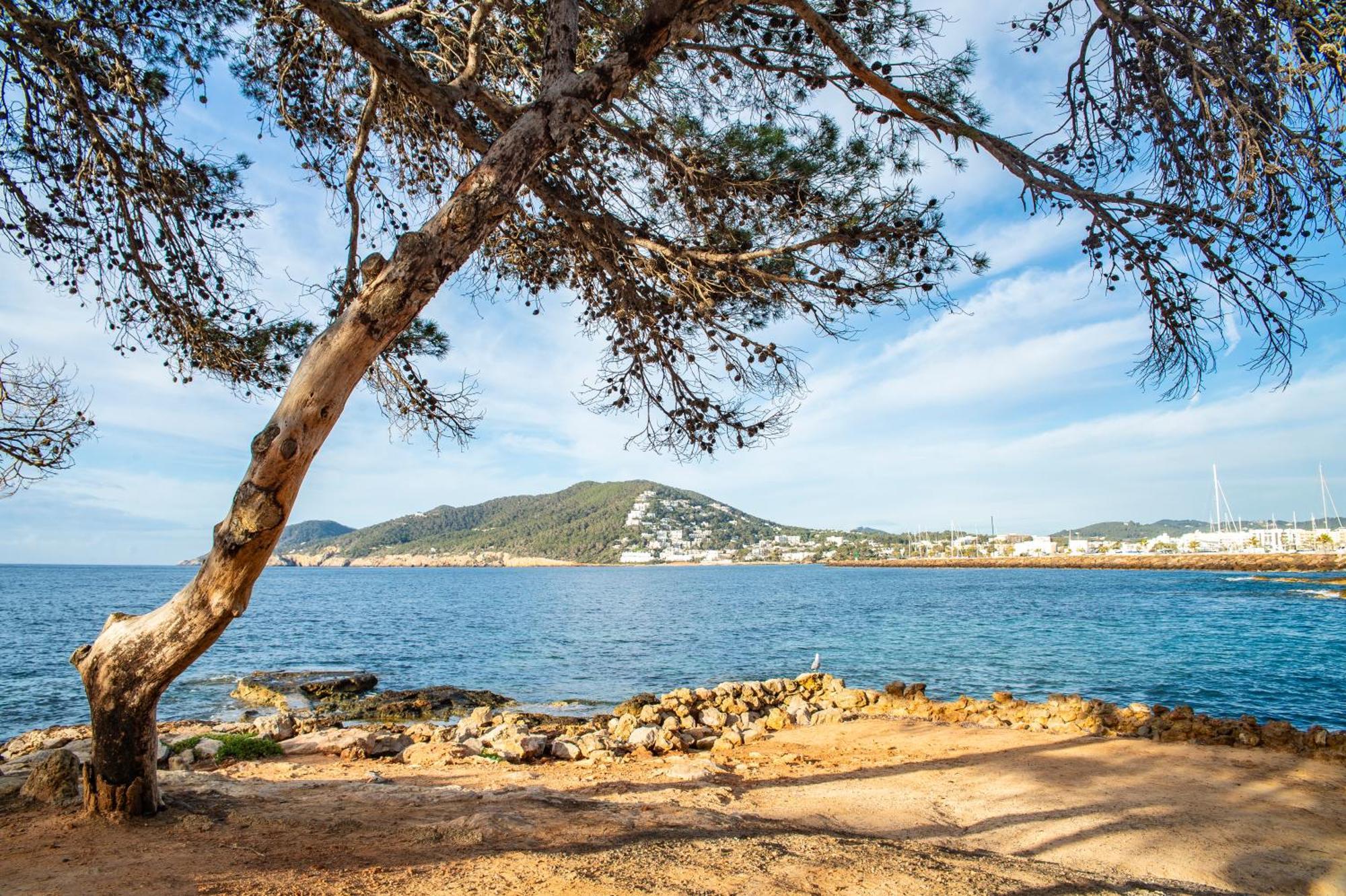 Pierre & Vacances Ros Ibiza Santa Eularia des Riu Ngoại thất bức ảnh